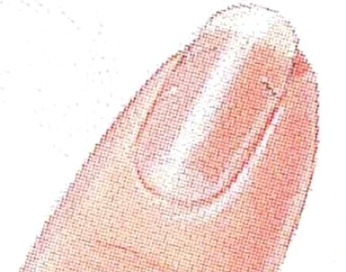 2 jpg jpeg