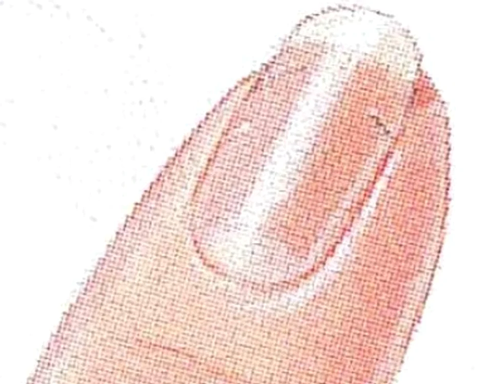 2 jpg jpeg