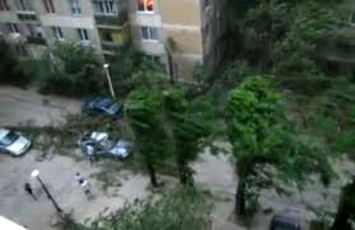 Plouă torenţial şi bate vântul puternic în zonele indicate de meteorologi