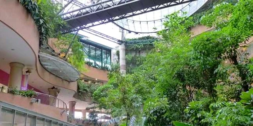 mall 1