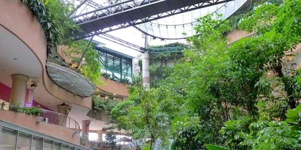 mall 1