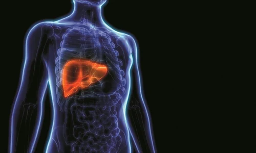 3 de ce se ingrasa ficatul jpg jpeg