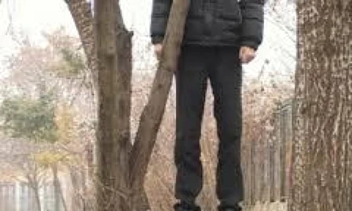 un baiat de 13 ani s a spanzurat de rusine ca a fost prins furand un deodorant 5193 jpeg