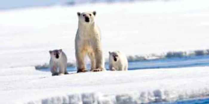 Încălzirea Pământului  se confirmă