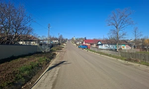 la tara foto cosmin zamfirache jpg