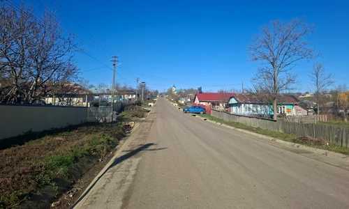 la tara foto cosmin zamfirache jpg