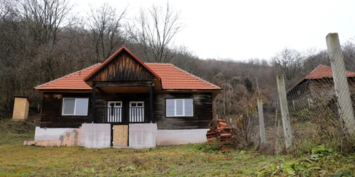 aranies foto daniel guta adevarul