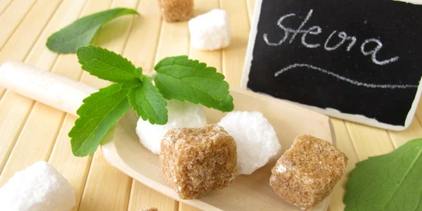 stevia extract zahar