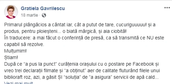 gratiela gavrilescu despre adrian dobre