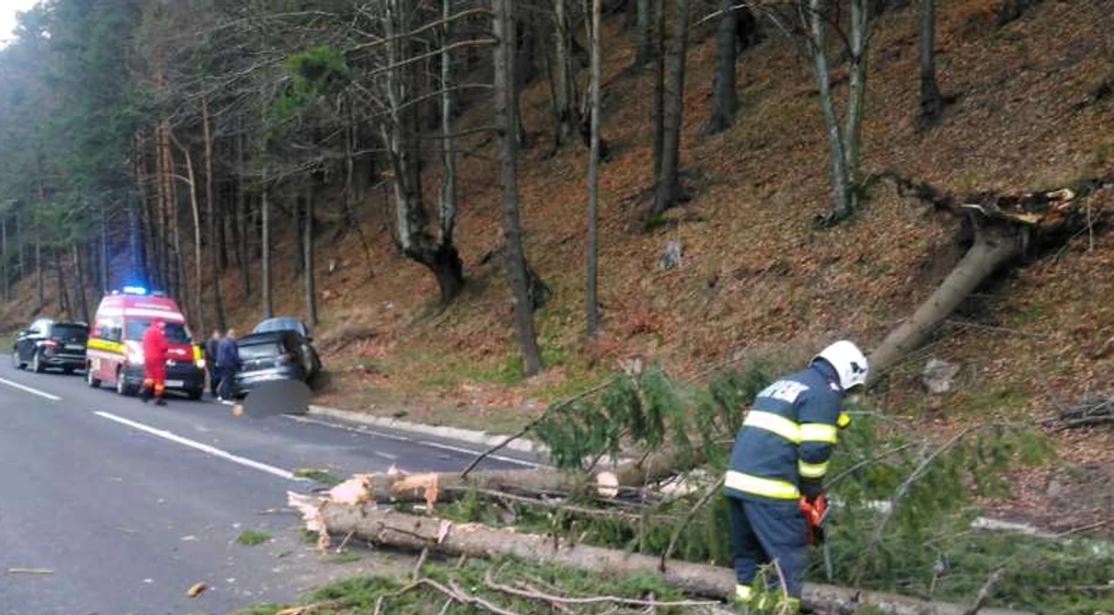 Copacul a căzut pe mașină FOTO ISU Bistriţa-Năsăud