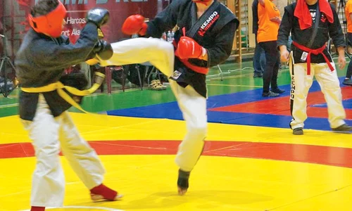 Tânărul face legea în competiţiile de Kempo jpeg