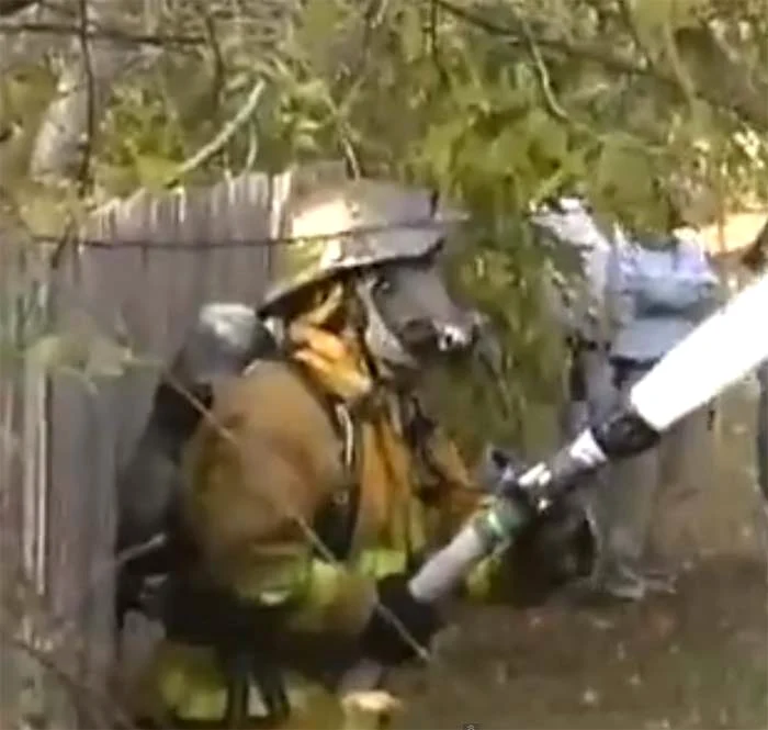 În primele secvenţe putem spune că salvatorul îşi face bine meseria