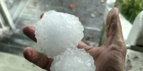 grindina in australia foto captura video abc news australia png