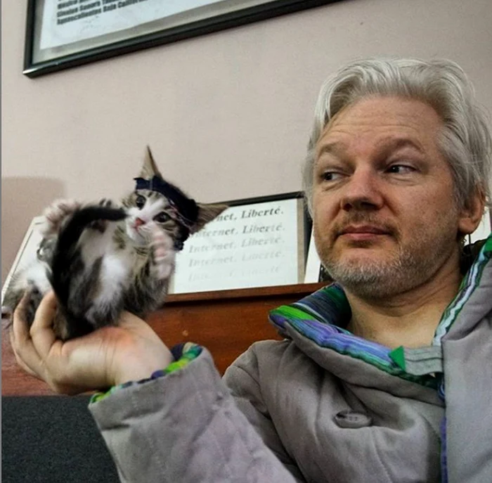 Fondatorul WikiLeaks, Julian Assange, a fost arestat de poliţia britanicăFoto: Instagram