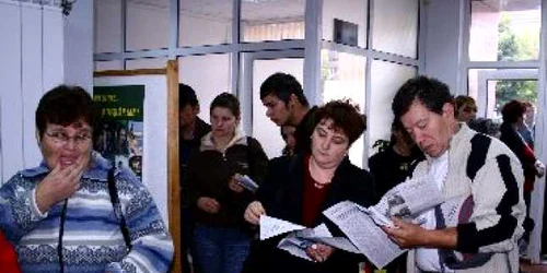 Bacău: Posturi vacante pentru șomeri în Uniunea Europeană