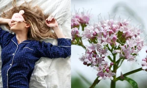 valeriana jpg