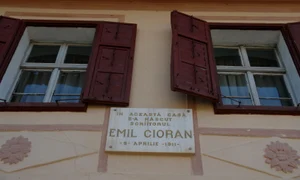 Cine i a dat peste nas lui Cioran ? jpeg
