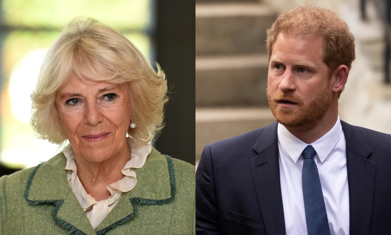 Regina Camilla se simte sfidată de Prinţul Harry. FOTO: Profimedia