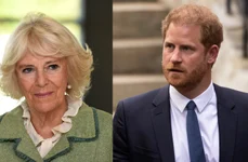 regina camilla printul harry jpg