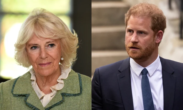 regina camilla printul harry jpg