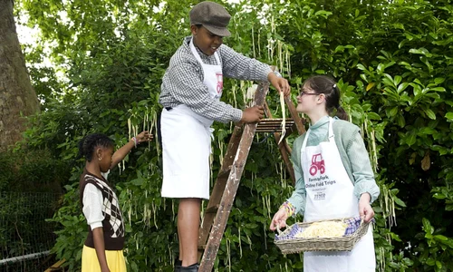 O televiziune britanică îi convinge pe oameni că spaghetele cresc în copaci jpeg