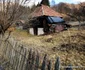 Tinutul Momarlanilor Foto Daniel Guță ADEVĂRUL (34) jpg