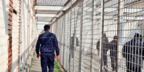 Agentul a fost trimis în judecată în stare de libertate Foto