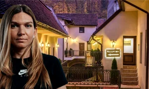 simona halep hotel png