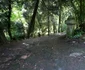 Parcul dendrologic Simeria Foto Daniel Guță ADEVĂRUL (40) JPG