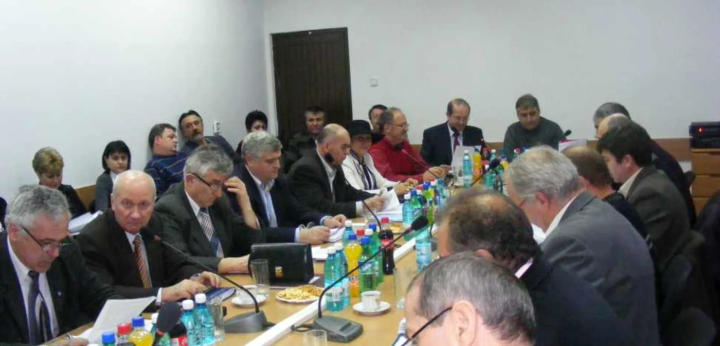 Consilierii locali au aprobat Constituţia locală