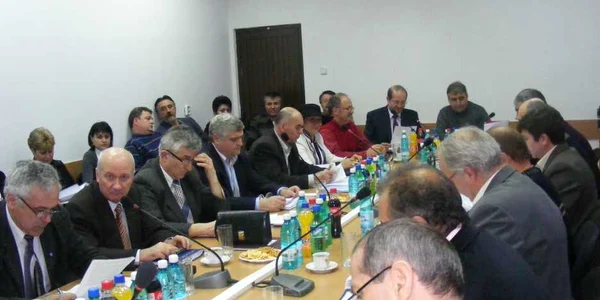 Consilierii locali au aprobat Constituţia locală