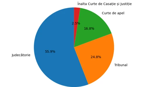 Distribuție completare chestionar,, Chestionat CSM FOTO CSM.ro