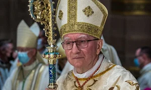 pietro parolin wikipedia jpg