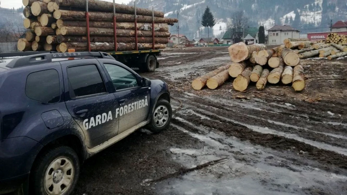 Garda Forestieră Suceava are atribuţii şi în Neamţ FOTO News Moldova