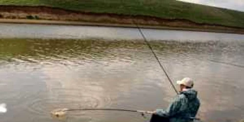 Bărbatul a fost surprins în timp ce pescuia