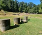 Saemizegetusa Regia  Foto Daniel Guță, ADEVĂRUL (2) jpg