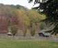 Comorile arhitecturale ale Muzeului Satului Vâlcean Bujoreni Foto Adevărul