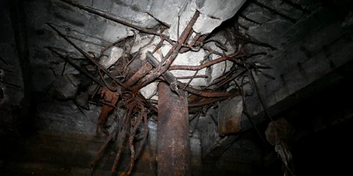 WhatsApp Image 2024 09 26 at 16 41 00 jpeg