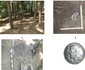 Șantierul arheologic de la Poiana Spinului din Țara Loviștei Vâlcea cu luptele din Primul Război Mondial Foto Daciana Stoica jpg