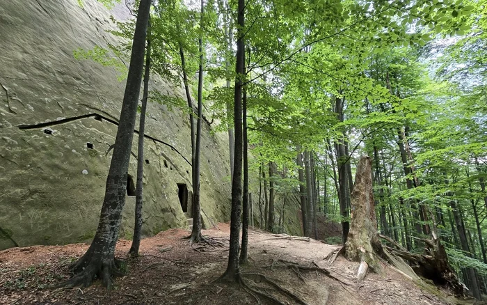 Așezările Rupestre de la Nucu. Foto Comuna Bozioru Facebook