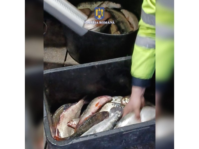 Paznicii de vânătoare, tartorii braconajului în păduri şi pe lacul de la Bicaz. Descoperiri la percheziţii 
