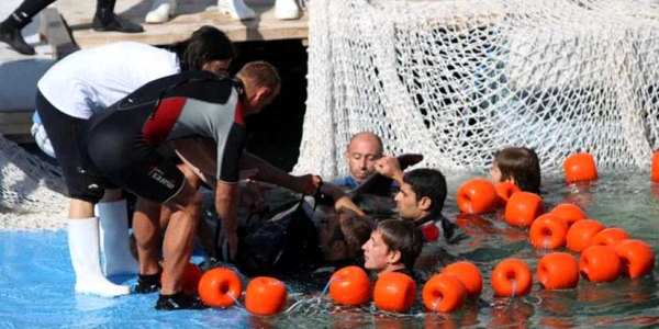 Delfinii au fost mutaţi în bazinul acoperit