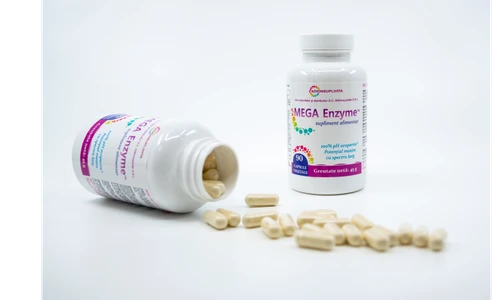 MegaEnzym Megaspore ro png