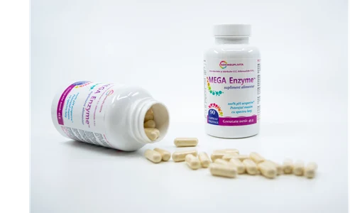 MegaEnzym Megaspore ro png