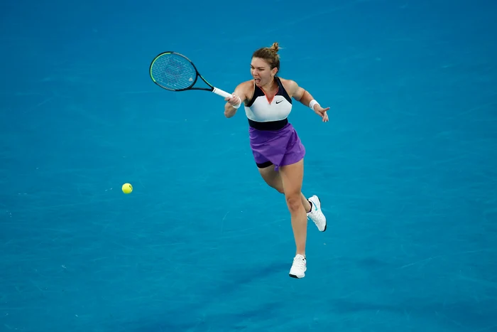 Complexul este în Mamaia Nord, foarte aproape de plajă