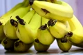 1 beneficii banane jpg jpeg
