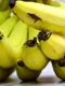 1 beneficii banane jpg jpeg
