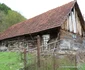 Bulzestii de sus, Hunedoara Foto Daniel Guță ADEVĂRUL (79) JPG