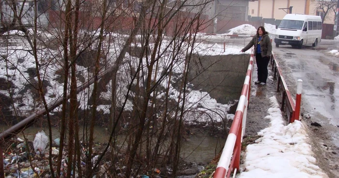 Pârăul de la Valea Mare, invadat de gunoi