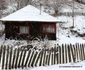 runcu mare foto daniel guta adevarul